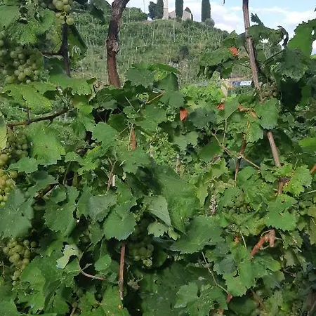 Marinelli Locanda 3*