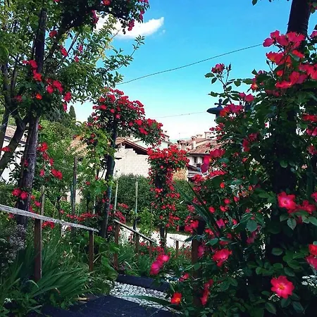 Han/Misafirhane Casa Marinelli