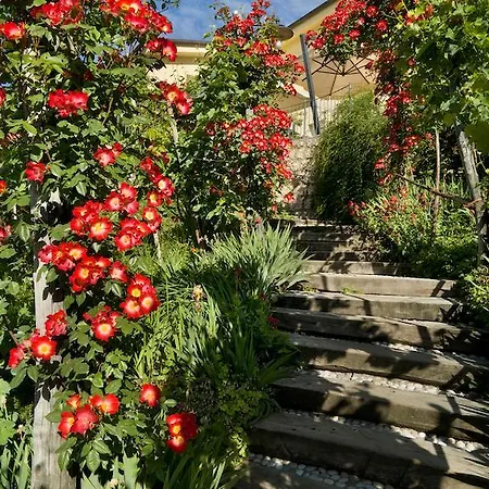 Han/Misafirhane Casa Marinelli