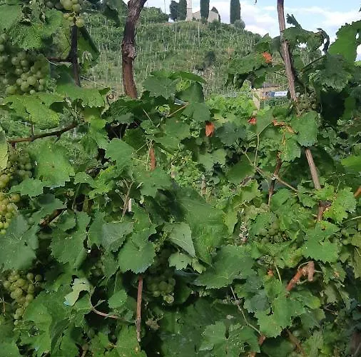 Casa Marinelli אורחן 3*