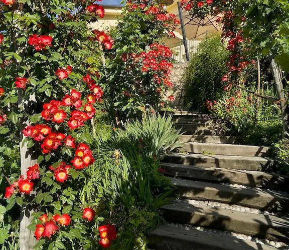 אורחן Casa Marinelli